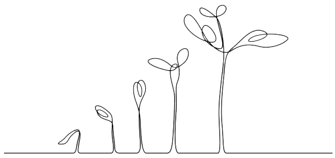 Testeaza gratuit si cumpara ieftin cel mai bun program de gestiune comenzi clienti magazin piese auto online și dezmembrări