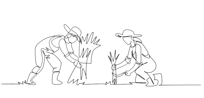 Program ieftin sau chiar gratuit pentru gestiunea comenzilor clienților unui magazin de piese auto fizic, online și dezmembrări